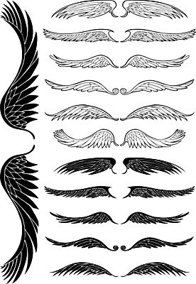 EPS 해외이미지 클립아트 손 디자인 종교 날개 일러스트 조류 천사 잉크 미술 그래픽 장식 세트 펜 검은색 흰색 깃털 엘리먼트 해외202004 해외일러스트 동물 컬러 문화예술 신체부위 필기구 파일형식 벡터 이미지허브