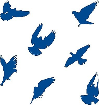 EPS 해외이미지 모양 동물 실루엣 야생동물 날개 일러스트 자연 조류 세트 평화 펼침 수집 심볼 비둘기 해외202004 해외일러스트 컨셉 모션 촬영기법 생태계 파일형식 벡터 이미지허브