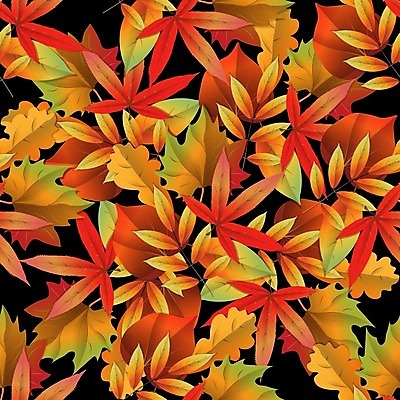 EPS 해외이미지 나무 식물 디자인 계절 백그라운드 단풍 잎 꽃무늬 패턴 오렌지 일러스트 자연 벽지 추상 미술 그래픽 장식 빨간색 컬러풀 갈색 노란색 유행 정원 가을 흰색 직물 숲 인쇄 9월 타일 그림 질감 자작나무 10월 내추럴 엘리먼트 해외202004 해외일러스트 꽃 컬러 무늬 과일 문화예술 날짜 생태계 파일형식 벡터 이미지허브