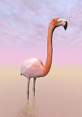 포토 JPG 해외이미지 동물 구름 호수 야생동물 선 분홍색 백그라운드 자연 조류 하늘 휴식 사람없음 그래픽 물 빛 노란색 머리 3D 디지털 흰색 연못 플라밍고 제비꽃 명상 싱글 부리 만들기 내추럴 이국적 해외202004 해외포토 자연요소 꽃 컬러 컨셉 모션 신체부위 디지털합성 생태계 파일형식 이미지허브