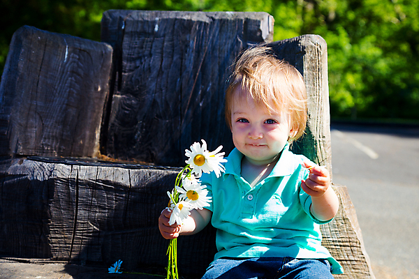 포토 JPG 해외이미지 공원 꽃잎 꽃 행복 아들 어린이 셔츠 의자 놀이 한명 사람 앉기 소년 야외 목재 파란색 노란색 흰색 놀이터 작음 수집 걸음마 해외202004 해외포토 나무 식물 1 공공시설 남자 감정 컬러 가구 상의 재료 가족 모션 크기 파일형식 이미지허브