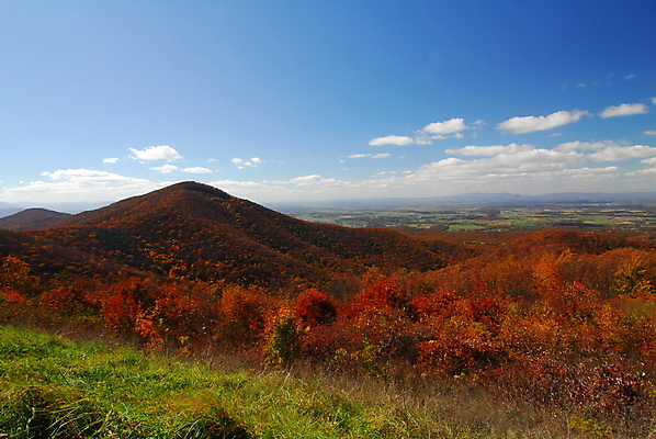 포토 JPG 해외이미지 나무 계절 공원 여행 백그라운드 잎 오렌지 자연 풍경 사람없음 야외 컬러풀 노란색 미국 활발 운전 가을 황금 스카이라인 전국 해외202004 해외포토 식물 공공시설 컬러 컨셉 북아메리카 과일 모션 생태계 파일형식 이미지허브