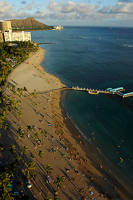 포토 JPG 해외이미지 나무 모래 바다 손바닥 사람없음 일몰 하와이 해외202004 해외포토 식물 손 노을 미국 파일형식 이미지허브