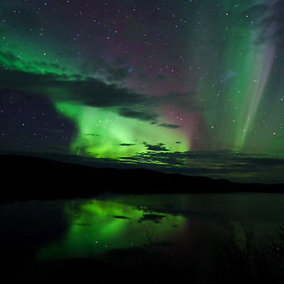 포토 JPG 해외이미지 나무 구름 별 호수 크리스마스 캐나다 밭 자연 하늘 표면 바람 풍경 사람없음 빨간색 초록색 빛 반사 노란색 꿈 거울 가을 입자 야간 북극 버드나무 천문학 북쪽 알래스카 오로라 현상 해외202004 해외포토 자연요소 식물 계절 교육 기념일 컬러 북아메리카 농업 자연현상 날씨 미국 극지방 방향 생태계 파일형식 이미지허브