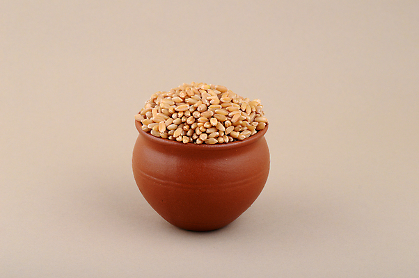 포토 JPG 해외이미지 음식 빵 백그라운드 겨울 농업 다이어트 과일 재료 자연 건조 건강 씨앗 사람없음 농작물 농장 갈색 노란색 쌓기 식사 수확 흰색 시골 황금 보호 냄비 낟알 시리얼 밀 먹기 유기농 질감 생물학 날것 점토 흙더미 내추럴 숙성 작살 채식주의자 세련 해외202004 해외포토 식물 웰빙 계절 교육 산업 컬러 컨셉 모션 곡류 흙 솥 생태계 채식 파일형식 더미 이미지허브