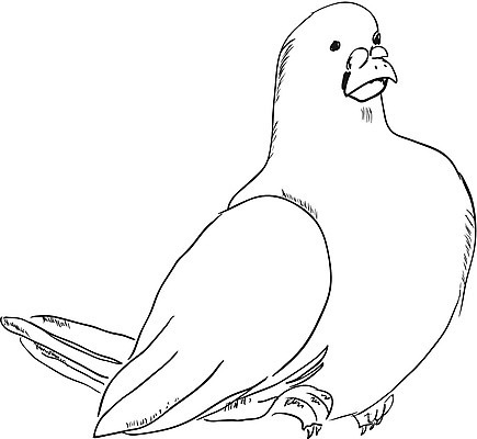 EPS 해외이미지 동물 커플 행복 포즈 결혼 백그라운드 컨셉 날개 일러스트 모션 자연 조류 결혼식 사랑 공중 장식 평화 희망 자유 흰색 비행 공작 자르기 심볼 순수 깃털 비둘기 고립 기르기 동물상 무료 신앙심 천진난만 해외202004 해외일러스트 감정 컬러 관계 이벤트 조형물 생태계 돌봄 파일형식 벡터 이미지허브