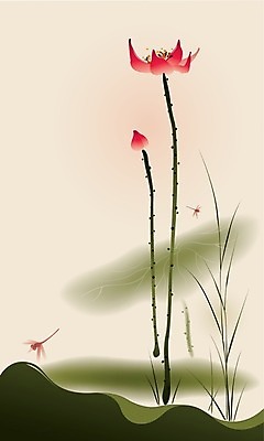 EPS 해외이미지 식물 디자인 꽃 선 분홍색 잎 일러스트 자연 세로 물 일본 중국 봄 성장 연못 우아함 잠자리 스타일 해외202004 해외일러스트 자연요소 계절 아시아 컬러 곤충 컨셉 생태계 파일형식 벡터 이미지허브