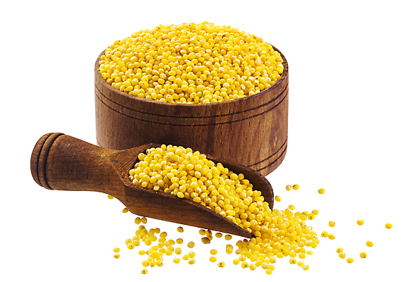 포토 JPG 해외이미지 접시 클리핑패스 백그라운드 재료 건조 건강 씨앗 사람없음 목재 노란색 쌓기 숟가락 흰색 사발 닫기 낟알 시리얼 국자 유기농 날것 흙더미 내추럴 고립 생식 수수 채식주의자 해외202004 해외포토 나무 식물 식기 웰빙 음식 컬러 모션 주방용품 수저 흙 사기그릇 채식 파일형식 더미 이미지허브