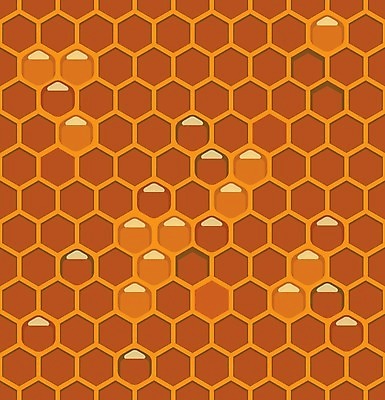 EPS 해외이미지 모양 디자인 백그라운드 패턴 오렌지 일러스트 자연 벽지 추상 세포 미술 노란색 검은색 흰색 머리빗 달콤 타일 질감 육각형 꿀 벌집 왁스 해외202004 해외일러스트 도형 컬러 무늬 과일 문화예술 미용용품 맛 생태계 파일형식 벡터 이미지허브