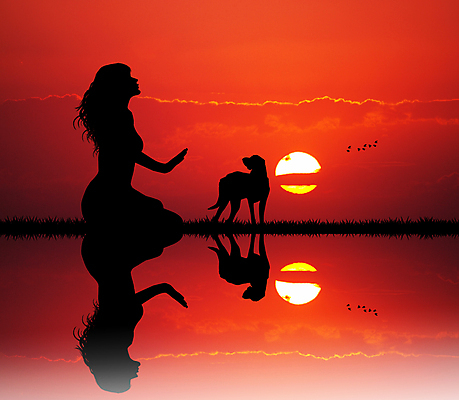 포토 JPG 해외이미지 동물 실루엣 새끼 일러스트 포유류 사람없음 반려동물 일몰 개 강아지 송곳니 실행 입양 해외202004 해외포토 촬영기법 노을 치아 파일형식 이미지허브