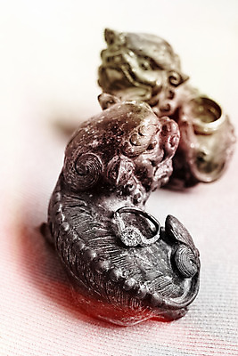 포토 JPG 해외이미지 커플 기념일 꽃 행복 결혼 백그라운드 잎 2 관계 결혼식 함께함 선물 사랑 사람없음 장식 초록색 빛 파티 금속 수확 흰색 축하 반지 쌍 원형 황금 고급 보석 심볼 약혼 백금 수목 해외202004 해외포토 도형 식물 감정 컬러 컨셉 농업 장신구 재질 이벤트 광석 약속 파일형식 이미지허브