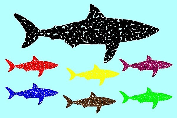 EPS 해외이미지 동물 배너 실루엣 야생동물 바다 백그라운드 일러스트 자연 추상 종류 어류 그래픽 머리 검은색 수중 수영 흰색 플랫 치아 낙서 위험 만화 스케치 심볼 사인 그림 꼬리 윤곽 육식동물 지느러미 상어 사냥꾼 턱 공격적 해외202004 해외일러스트 직업 컬러 컨셉 무늬 촬영기법 미술 신체부위 수중동물 수상스포츠 소화기관 생태계 파일형식 벡터 이미지허브