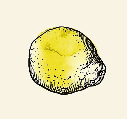 EPS 해외이미지 일러스트 수채화 사람없음 노란색 레몬 그림 해외202004 해외일러스트 컬러 과일 파일형식 벡터 이미지허브