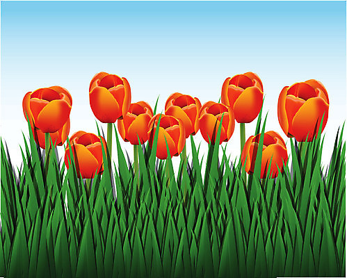 EPS 해외이미지 식물 디자인 꽃 실루엣 백그라운드 잎 꽃무늬 패턴 오렌지 일러스트 상상 자연 친절 발렌타인데이 선물 사랑 미술 그래픽 장식 빨간색 초록색 봄 튤립 신선 화려 심볼 부드러움 공상 엘리먼트 해외202004 해외일러스트 계절 감정 컬러 컨셉 무늬 과일 데이이벤트 문화예술 촬영기법 감각 생태계 파일형식 벡터 이미지허브