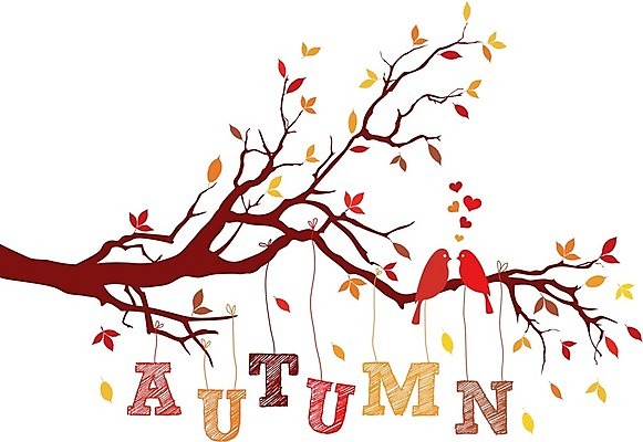 EPS 해외이미지 나무 식물 동물 커플 계절 공원 실루엣 줄 백그라운드 잎 오렌지 일러스트 텍스트 자연 조류 날씨 매달리기 사랑 미술 야외 빨간색 단어 컬러풀 갈색 노란색 가을 나뭇가지 하트 떨어짐 편지 활 그림 해외202004 해외일러스트 모양 문자 공공시설 감정 컬러 컨셉 과일 관계 모션 문화예술 촬영기법 생태계 파일형식 벡터 이미지허브