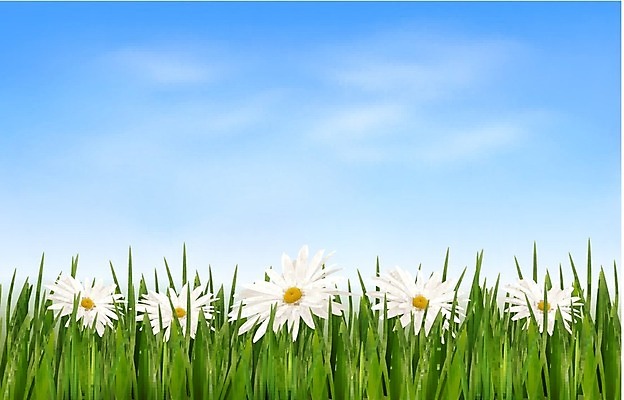 EPS 해외이미지 식물 디자인 계절 공원 꽃 백그라운드 컨셉 잎 패턴 일러스트 자연 놀이 하늘 추상 프레임 미술 야외 가로 초록색 여름 파란색 빛 컬러풀 태양 환경 맑음 봄 나뭇가지 신선 닫기 보호 땅 원예 데이지 심플 내추럴 해외202004 해외일러스트 자연요소 나무 공공시설 컬러 무늬 모션 날씨 문화예술 취미 생태계 파일형식 벡터 이미지허브