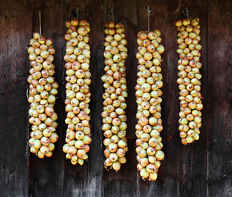 포토 JPG 해외이미지 식물 전통 디자인 음식 벽 백그라운드 채소 오렌지 전구 양파 건조 사람없음 목재 농작물 갈색 노란색 쌓기 마을 수확 껍질 흰색 신선 그룹 황금 맛 보따리 날것 건강식 유지 내추럴 러시아인 밭일 숙성 해외202004 해외포토 서양인 나무 컬러 컨셉 농업 과일 재료 모션 파일형식 이미지허브
