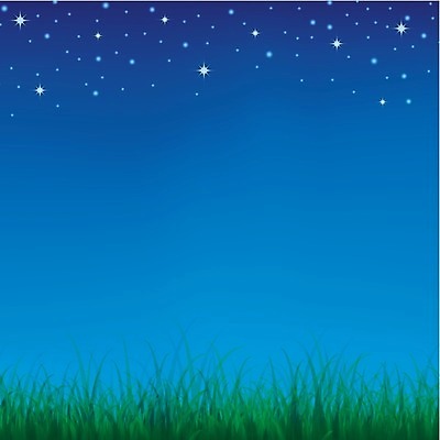 EPS 해외이미지 디자인 별 백그라운드 잎 패턴 밭 일러스트 자연 하늘 추상 풍경 초록색 여름 파란색 환경 어둠 봄 시골 신선 야간 내추럴 땅바닥 해외202004 해외일러스트 자연요소 식물 계절 컬러 무늬 농업 바닥 생태계 파일형식 벡터 이미지허브