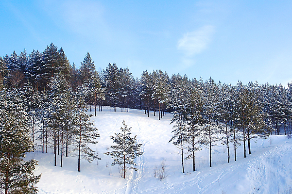 포토 JPG 해외이미지 나무 계절 여행 백그라운드 크리스마스 겨울 자연 하늘 산 풍경 사람없음 야외 목재 파란색 빛 냉동 얼음 추위 흰색 소나무 숲 시원함 서리 장면 전나무 내추럴 눈내림 해외202004 해외포토 자연요소 식물 기념일 컬러 재료 눈_날씨 생태계 파일형식 이미지허브