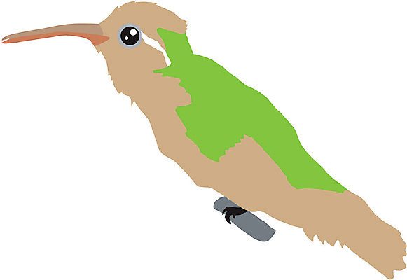 EPS 해외이미지 모양 동물 디자인 실루엣 포즈 백그라운드 날개 일러스트 조류 형상 미술 자유 흰색 문신 깃털 사인 그림 꼬리 벌새 스타일 해외202004 해외일러스트 컬러 컨셉 문화예술 촬영기법 파일형식 벡터 이미지허브