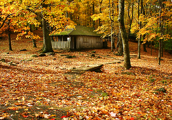 포토 JPG 해외이미지 나무 계절 공원 길 잎 오렌지 자연 따뜻함 풍경 사람없음 야외 목재 초록색 빛 갈색 노란색 평화 맑음 침묵 욕실 안개 덮개 가을 나뭇가지 시골 황금 숲 11월 땅 화장실 장면 신화 공상 10월 내추럴 땅바닥 해외202004 해외포토 식물 공공시설 컬러 컨셉 과일 재료 날씨 바닥 소리 뚜껑 날짜 생태계 파일형식 이미지허브