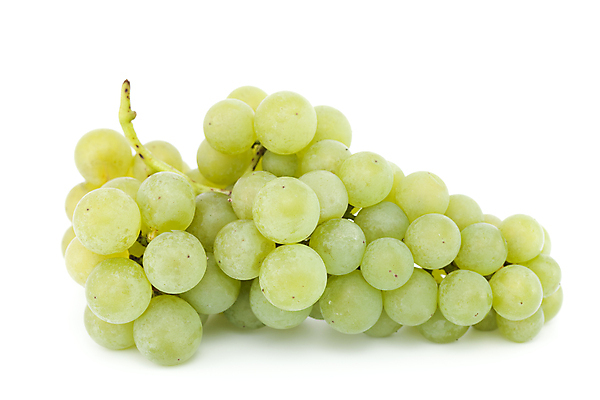 포토 JPG 해외이미지 식물 열매 음식 과일 포도 디저트 사람없음 초록색 신선 달콤 다발 흰배경 숙성 해외202004 해외포토 컬러 백그라운드 흰색 맛 파일형식 이미지허브