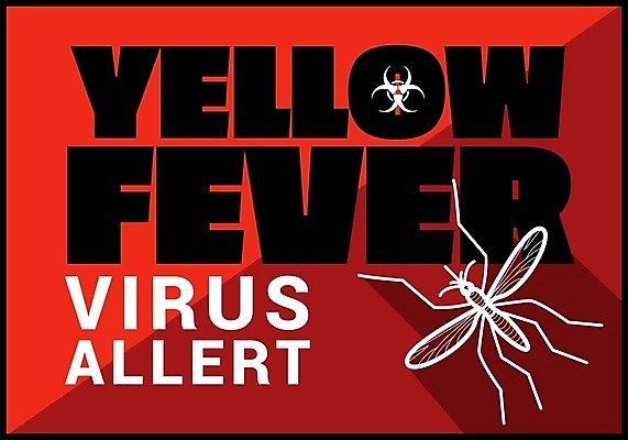 EPS 해외이미지 디자인 컨셉 절지류 일러스트 경고 그래픽 빨간색 펼침 긴급 바이러스 질병 위험 심볼 사인 그림 예방 생물학 감염 전염 반대 찌르기 기생충 경보 고립 모기 부담 전염병 해외202004 해외일러스트 동물 교육 컬러 의학 모션 해충 파일형식 벡터 이미지허브