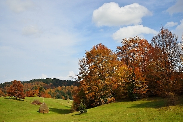 포토 JPG 해외이미지 나무 구름 계절 공원 단풍 잎 밭 오렌지 자연 하늘 산 풍경 사람없음 야외 목재 초록색 파란색 컬러풀 햇빛 농경지 노란색 환경 맑음 고요 가을 시골 숲 언덕 카피스페이스 해외202004 해외포토 자연요소 식물 공공시설 컬러 농업 과일 재료 날씨 태양 농장 공백 생태계 파일형식 이미지허브