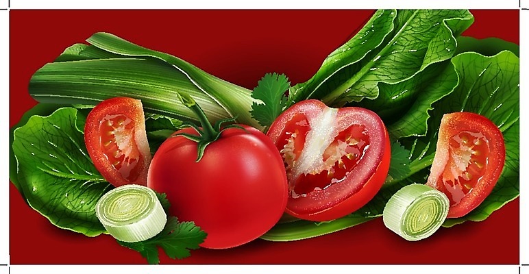 EPS 해외이미지 클립아트 음식 잎 토마토 과일 일러스트 포장 자연 양파 디저트 요리 그래픽 장식 빨간색 초록색 컬러풀 꼬리표 라벨 주방 식당 주스 수확 신선 맛 상추 잼 먹기 에코 유기농 배지 통조림 내추럴 고립 숙성 채식주의자 해외202004 해외일러스트 식물 웰빙 음료 컬러 컨셉 농업 채소 모션 프레임 환경 상점 소스_음식 생태계 채식 파일형식 벡터 이미지허브