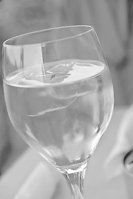 포토 JPG 해외이미지 음료 백그라운드 와인잔 유리 흑백 사람없음 물 식당 와인 얼음 회색 흰색 큐브 소다 해외202004 해외포토 자연요소 컬러 술잔 재질 주류 촬영기법 상점 파일형식 이미지허브