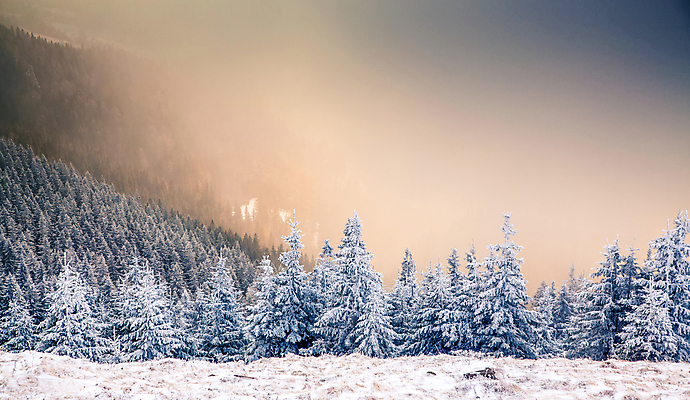 포토 JPG 해외이미지 나무 계절 행복 여행 백그라운드 크리스마스 겨울 자연 하늘 날씨 휴가 새로움 산 기념 요정 국립공원 풍경 사람없음 야외 파란색 빛 태양 얼음 축제 추위 흰색 축하 소나무 눈송이 숲 12월 연도 서리 전나무 루마니아 1월 폭설 눈내림 해외202004 해외포토 자연요소 식물 공원 기념일 감정 유럽 컬러 컨셉 눈_날씨 날짜 자연재해 생태계 파일형식 이미지허브