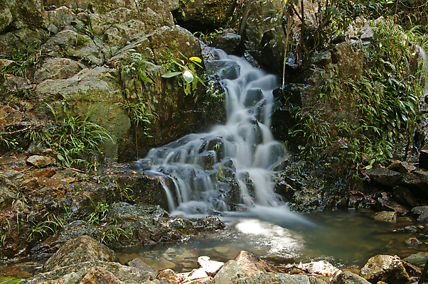 포토 JPG 해외이미지 나무 공원 여행 백그라운드 잎 모션 자연 산 풍경 사람없음 야외 목재 초록색 물 여름 파란색 강 태양 평화 환경 정원 중국 봄 폭포 젖음 흐름 가을 바위 신선 개울 떨어짐 숲 큼 대야 홍콩 내추럴 전국 해외202004 해외포토 자연요소 식물 계절 공공시설 아시아 컬러 컨셉 재료 돌_바위 크기 생태계 파일형식 이미지허브