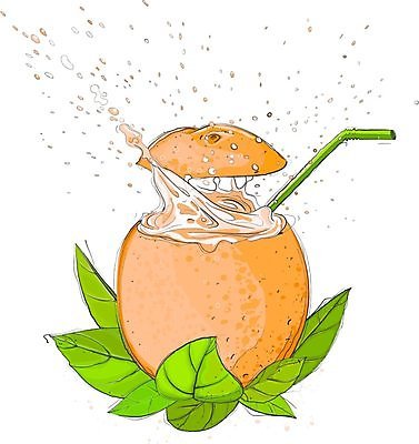 EPS 해외이미지 식물 1 음료 조각 잎 오렌지 과일 일러스트 부분 자연 귤 건강 세로 초록색 주스 신선 떨어짐 손그림 밀짚 고립 구성 숙성 정물화 해외202004 해외일러스트 컬러 컨셉 짚 그림 생태계 파일형식 벡터 이미지허브