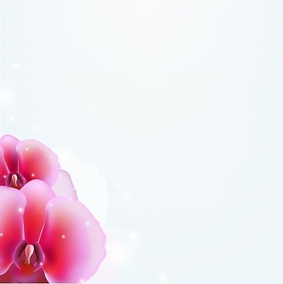 EPS 해외이미지 식물 계절 기념일 꽃잎 꽃 별 줄기 분홍색 백그라운드 일러스트 발렌타인데이 장식 컬러풀 머리 평화 보라색 봄 활발 벚꽃 흰색 물방울 나뭇가지 신선 신용카드 난초 제비꽃 오브젝트 싱글 심플 호접란 고립 블러 해외202004 해외일러스트 자연요소 나무 컬러 컨셉 데이이벤트 이벤트 신체부위 금융 파일형식 벡터 이미지허브