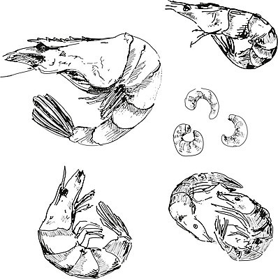 EPS 해외이미지 1 접시 음식 바다 백그라운드 다이어트 채소 일러스트 재료 자연 조개 새우 건강 갑각류 요리 초록색 우주 요식업 식당 일본 식사 저녁식사 샐러드 흰색 신선 닫기 상추 왕 먹기 해산물 오브젝트 준비 싱글 무침 점심식사 고립 삶기 해외202004 해외일러스트 동물 식기 산업 아시아 컬러 모션 어패류 상점 생태계 파일형식 벡터 이미지허브