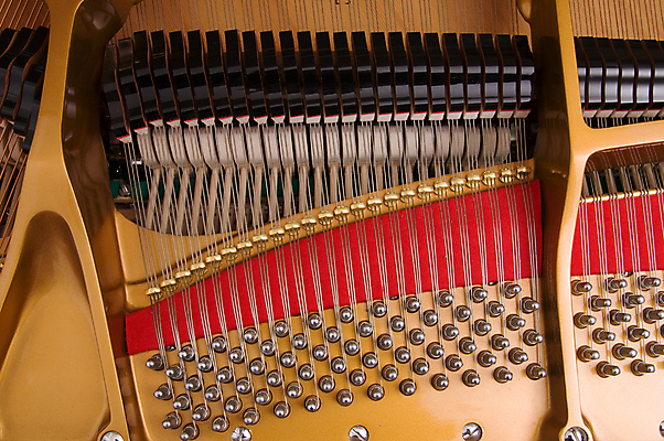 포토 JPG 해외이미지 줄 음악 열쇠 사람없음 소리 기구 황금 망치 철사 조율 펠트 해외202004 해외포토 문화예술 공구 파일형식 천_직물 이미지허브