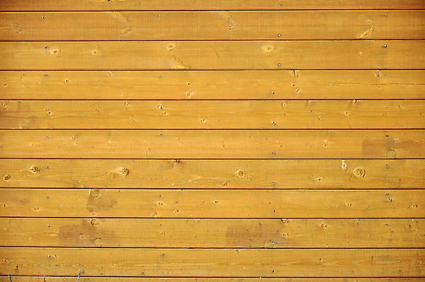 포토 JPG 해외이미지 벽 백그라운드 사람없음 손톱 질감 내추럴 평행 해외202004 해외포토 손 파일형식 이미지허브