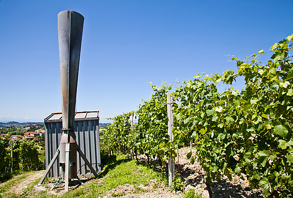 포토 JPG 해외이미지 계절 날씨 사람없음 야외 여름 와인 냉동 얼음 봄 이탈리아 손상 젖음 추위 공구 업무 보호 위험 시원함 예방 포도밭 폭풍 문제 대포 보험 유지 산기슭 나쁜 재앙 폭풍우 피에몬테 해외202004 해외포토 자연요소 유럽 무기 컨셉 밭 산 주류 도구 작업 비_날씨 자연재해 파일형식 이미지허브