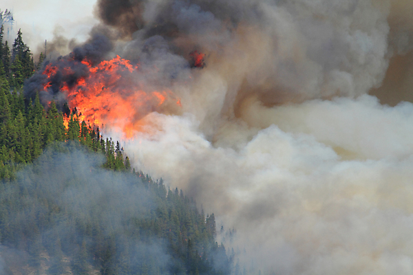 포토 JPG 해외이미지 나무 캐나다 오렌지 불 산 건조 사람없음 빨간색 노란색 맑음 붓 뜨거움 연기 더위 숲 위험 화재 연소 수목 앨버타 재앙 해외202004 해외포토 자연요소 식물 컬러 컨셉 북아메리카 과일 날씨 사건 파일형식 이미지허브