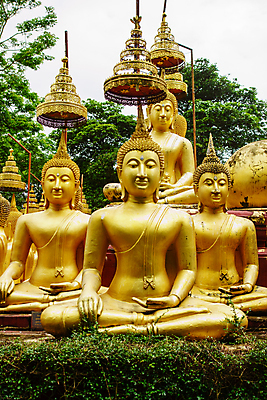 포토 JPG 해외이미지 나무 식물 구름 아시아 백그라운드 잎 불교 태국 벽지 하늘 동양인 사람없음 야외 초록색 여름 파란색 정원 맑음 시골 신선 사찰 황금 해외202004 해외포토 자연요소 계절 나라 종교 컬러 종교건축 날씨 인종 파일형식 이미지허브