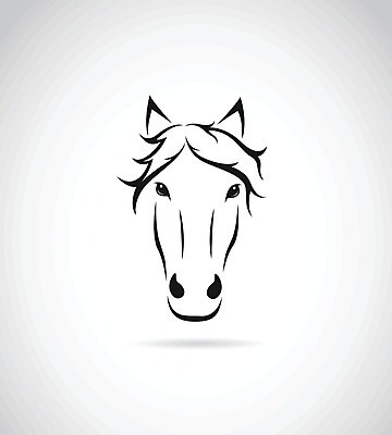 EPS 해외이미지 디자인 응시 얼굴 백그라운드 일러스트 사람없음 검은색 말_동물 심볼 그림 윤곽 해외202004 해외일러스트 시선 컬러 포유류 신체부위 파일형식 벡터 이미지허브