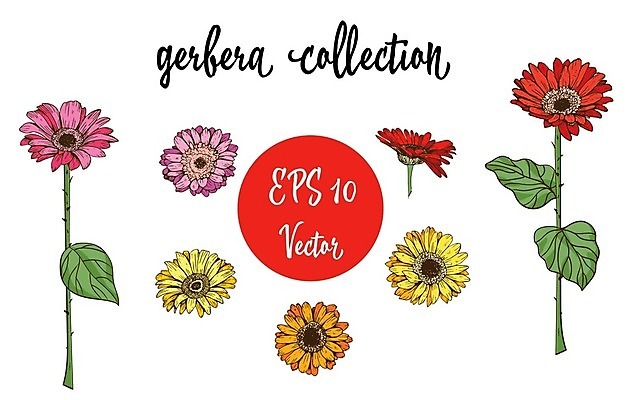 EPS 해외이미지 식물 꽃 분홍색 백그라운드 잎 꽃무늬 오렌지 일러스트 벽지 수채화 국화 발렌타인데이 장식 빨간색 초록색 세트 노란색 정원 보라색 봄 수확 가을 흰색 나뭇가지 인사 붓 황금 인쇄 수집 그림 데이지 초대 거베라 금잔화 캐모마일 포장소품 해외202004 해외일러스트 나무 계절 컬러 무늬 농업 과일 포장 데이이벤트 예절 허브 오브젝트 포장재료 파일형식 벡터 이미지허브