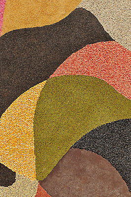 포토 JPG 해외이미지 식물 선 음식 백그라운드 농업 다이어트 채소 재료 자연 콩 건조 건강 요리 씨앗 사람없음 초록색 새싹 봄 신선 보호 작음 유기농 모종 채식주의자 해외202004 해외포토 웰빙 계절 산업 컬러 컨셉 곡류 크기 생태계 채식 파일형식 이미지허브