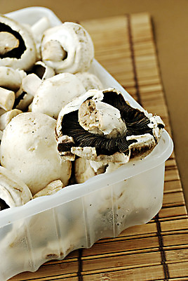 포토 JPG 해외이미지 사람없음 버섯 맛 숲 날것 식용 해외202004 해외포토 컨셉 파일형식 이미지허브