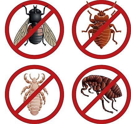 EPS 해외이미지 동물 실루엣 곤충 일러스트 경고 세트 금지 흰색 독약 플랫 해충 벌레 질병 위험 무서움 심볼 사인 거미 서명 토막 살인 고립 그만 농약 명패 모기 제어 해외202004 해외일러스트 감정 컬러 컨셉 의학 촬영기법 범죄 파일형식 벡터 이미지허브