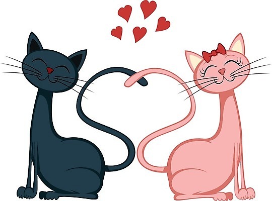 EPS 해외이미지 동물 커플 여자 행복 분홍색 일러스트 포유류 관계 결혼식 친절 수염 털 함께함 발렌타인데이 사랑 미소 앉기 파란색 반려동물 고양이 봄 하트 달콤 강아지 시원함 만화 만족 꼬리 마스코트 아바타 해외202004 해외일러스트 모양 계절 감정 컬러 결혼 컨셉 모션 데이이벤트 표정 사람 개 맛 파일형식 벡터 이미지허브