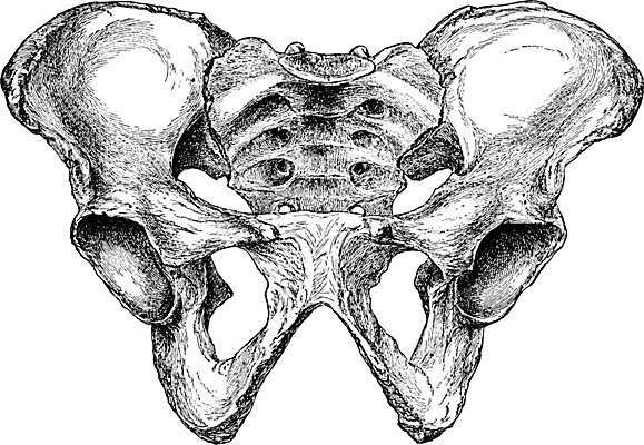 EPS 해외이미지 남자 선 일러스트 미술 검은색 수확 흰색 그림 판화 전후 해외202004 해외일러스트 컬러 농업 문화예술 사람 비교 파일형식 벡터 이미지허브