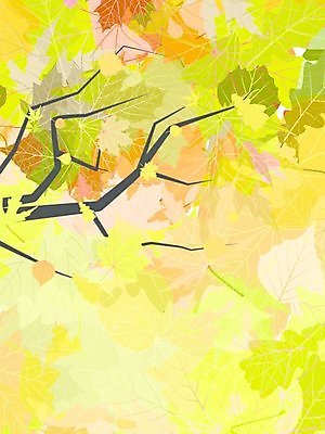 EPS 해외이미지 나무 디자인 계절 백그라운드 단풍 낙엽 잎 패턴 일러스트 자연 미술 그래픽 빨간색 갈색 노란색 가을 심볼 엘리먼트 옛날 플라타너스 해외202004 해외일러스트 식물 컬러 무늬 문화예술 생태계 파일형식 벡터 이미지허브