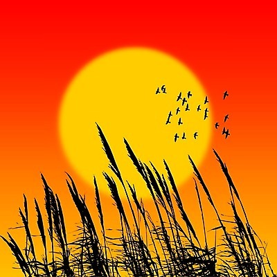 EPS 해외이미지 디자인 종이 선 벽 백그라운드 패턴 일러스트 벽지 추상 잉크 프레임 미술 장식 디지털 검은색 어둠 소리 페인트 수확 골동품 흰색 붓 점 얼룩 떨어짐 수집 그림 질감 복고 정사각형 그런지 엘리먼트 옛날 타격 해외202004 해외일러스트 도형 컬러 컨셉 무늬 농업 모션 문화예술 파일형식 벡터 이미지허브