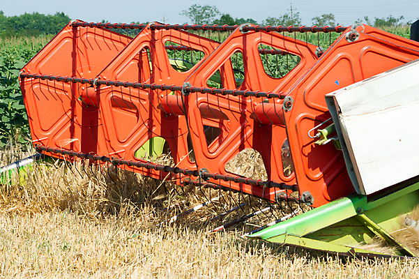 포토 JPG 해외이미지 직업 산업 음식 줄기 밭 농업 옥수수 씨앗 풍경 사람없음 여름 농작물 농장 농경지 기계 장비 수확 가을 시골 업무 결합 낟알 땅 시리얼 밀 장면 트랙터 밀짚 밭일 숙성 호밀 해외202004 해외포토 식물 계절 곡류 작업 짚 농기계 특수차량 파일형식 이미지허브